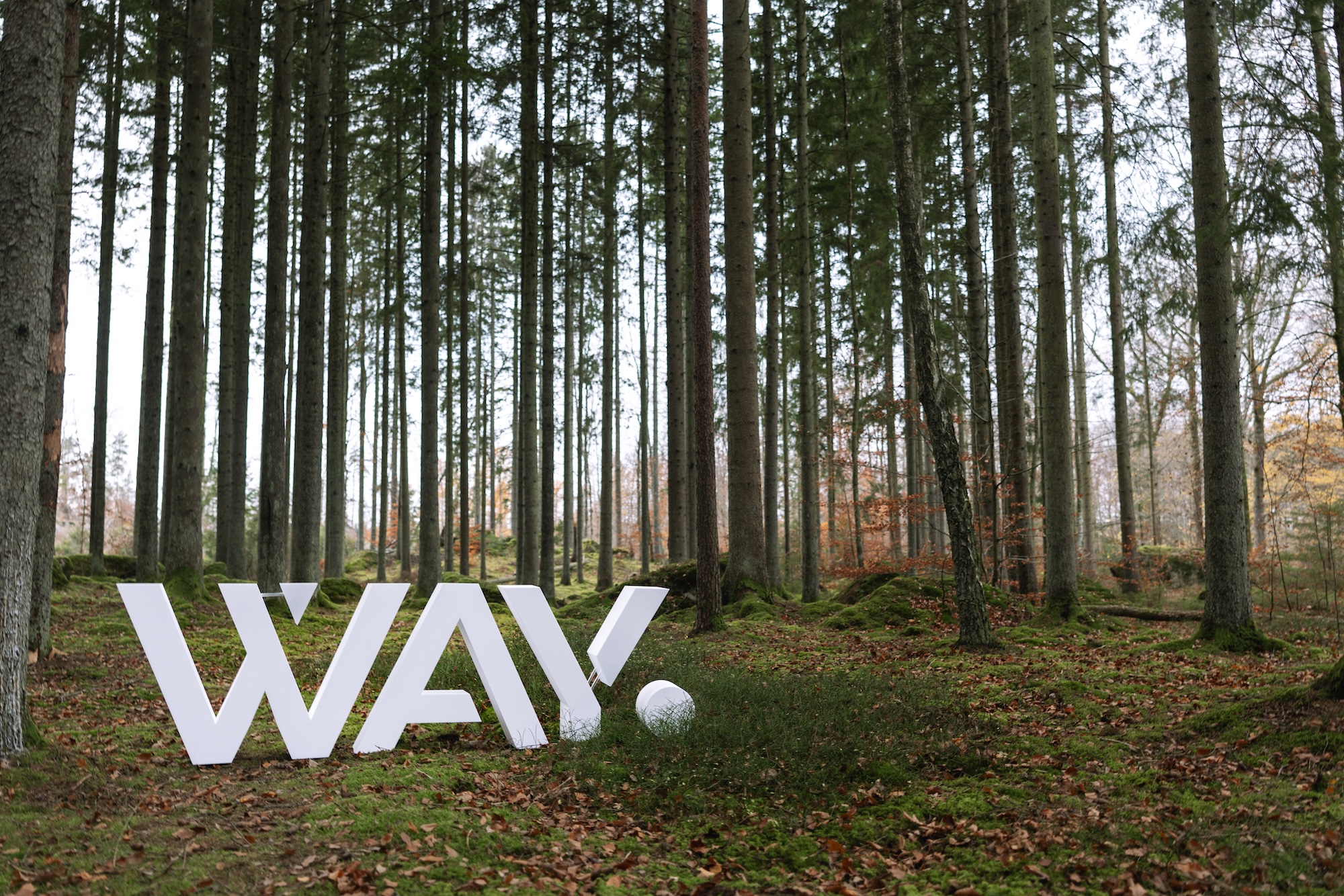stora vita bokstäver, w a y, i skogen