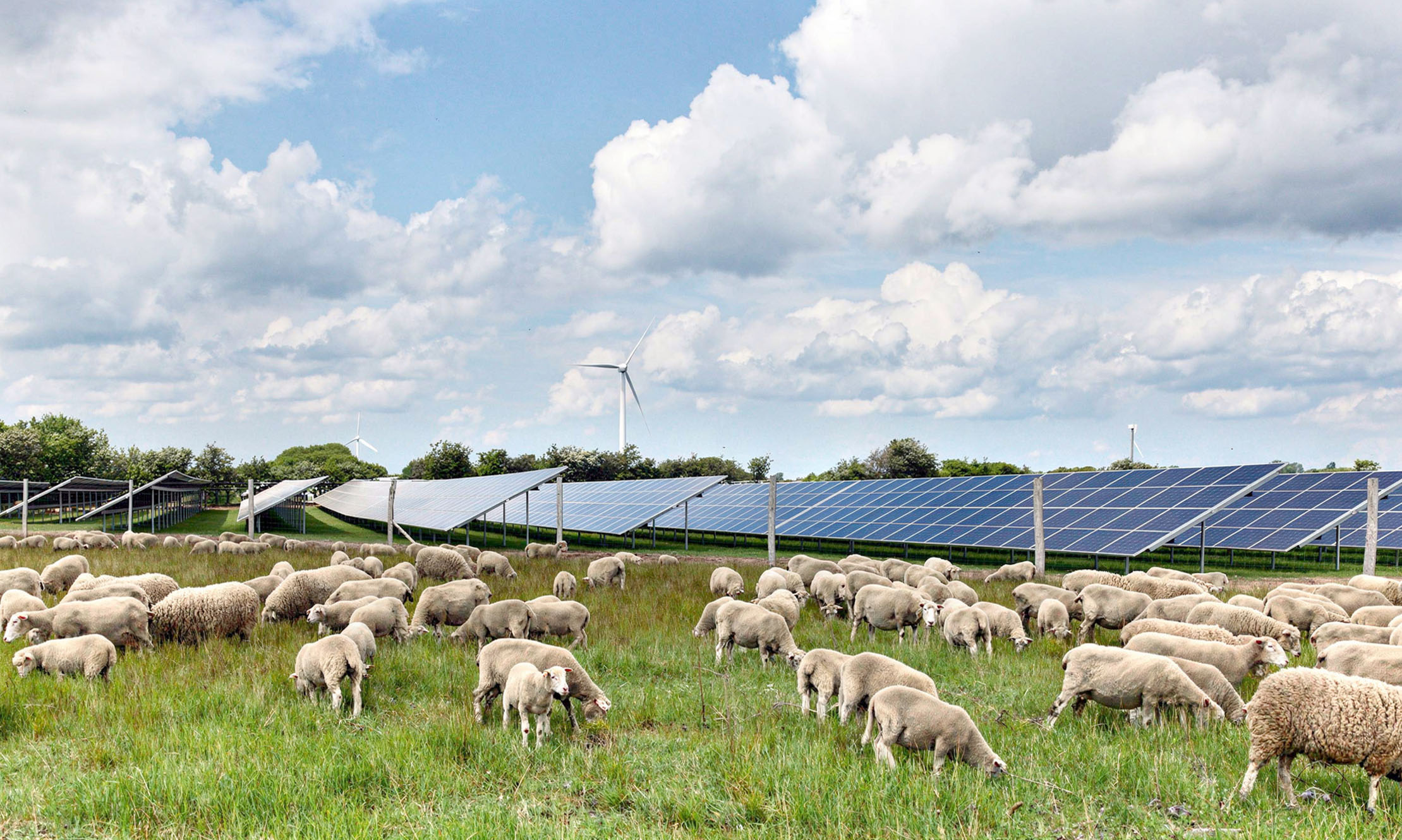 European Energy